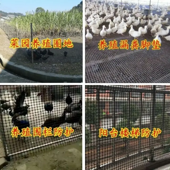 塑料网格防护网养殖菜园栅栏户外拦鸡网子圈玉米养鸡围栏网圈山地